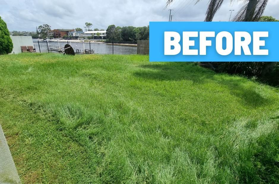 garden mowing buderim