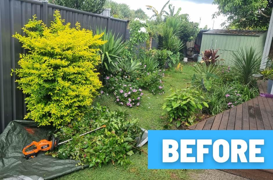 Buderim hedge trimming