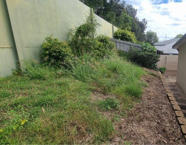 Garden Cleanup Mountain Creek