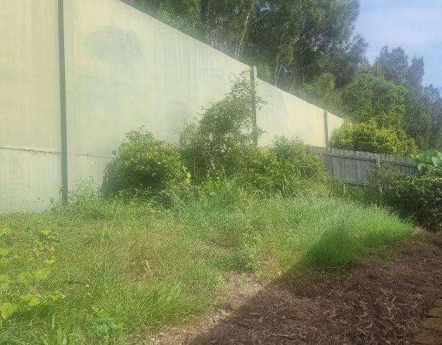 yard clean up Mountain Creek