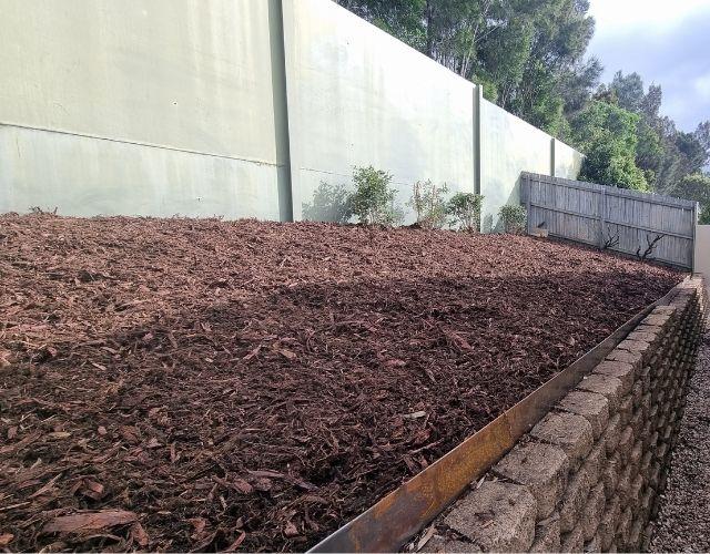 Garden Clean up Mountain Creek