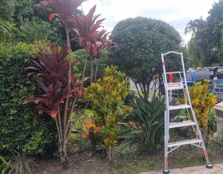 Property Clean Up Mountain Creek