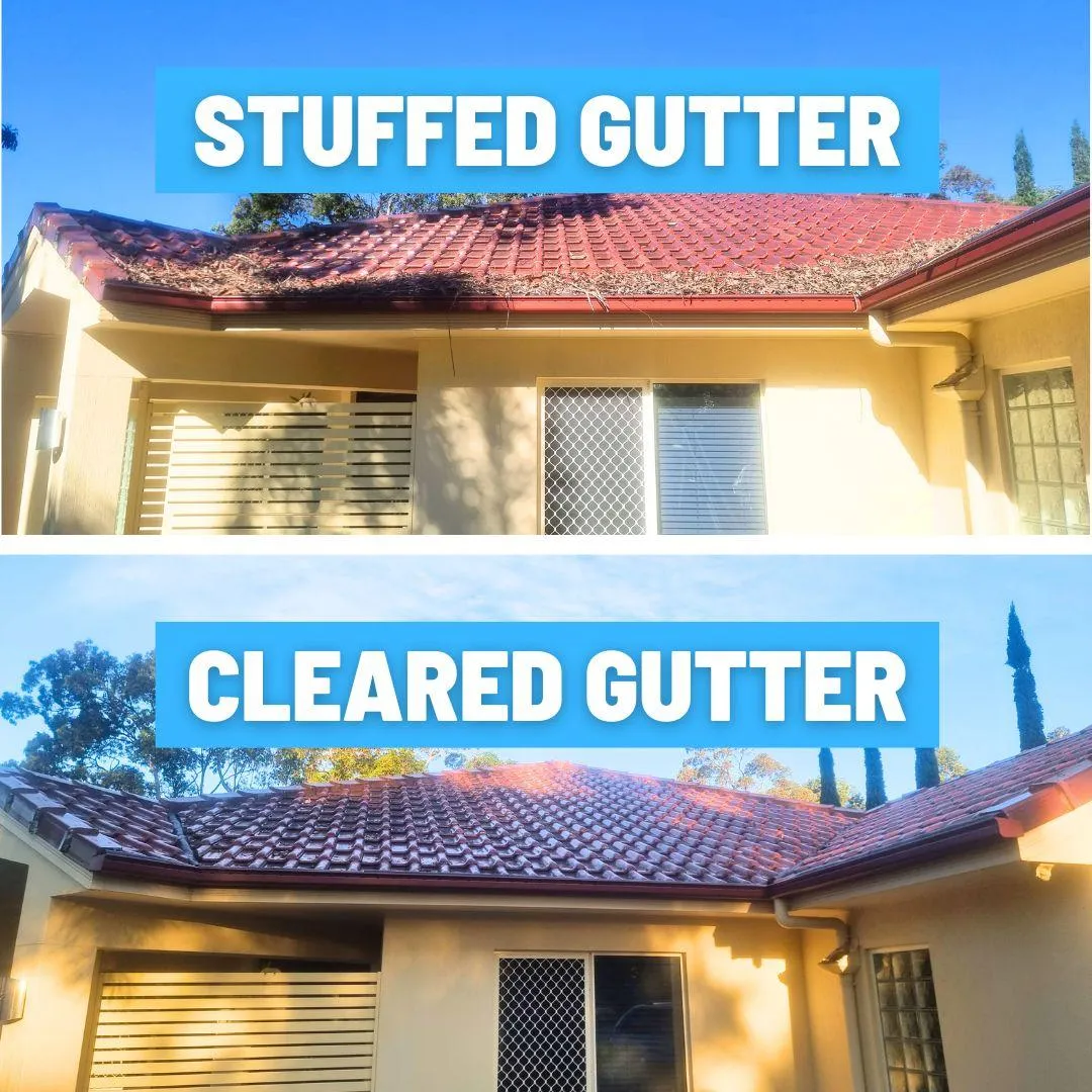 gutter clean buderim