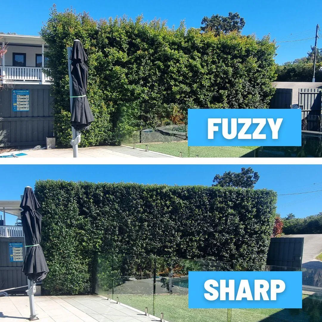 hedging buderim