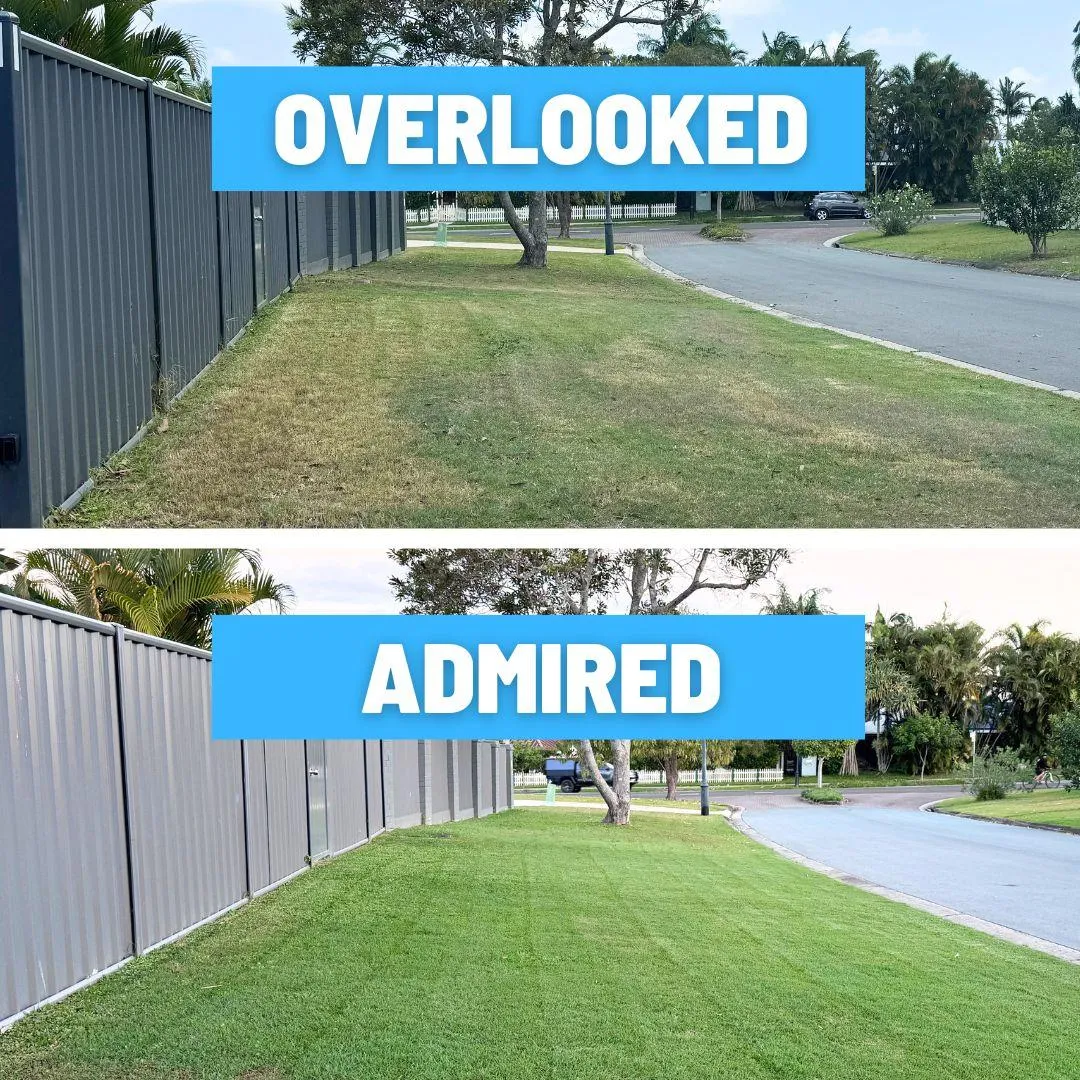 lawn mowing buderim