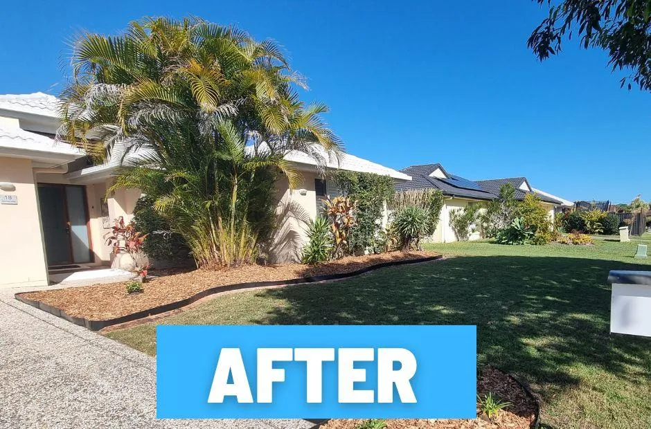 Garden Cleaning up soft landscaping Buderim after photo