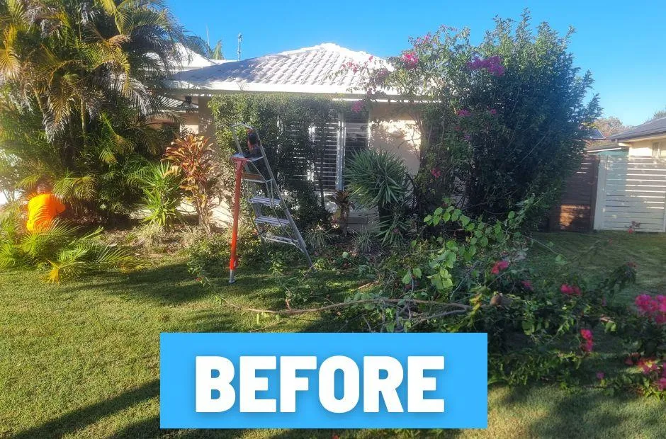 Garden Cleaning up soft landscaping Buderim before photo