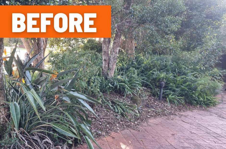 garden make over buderim before photo