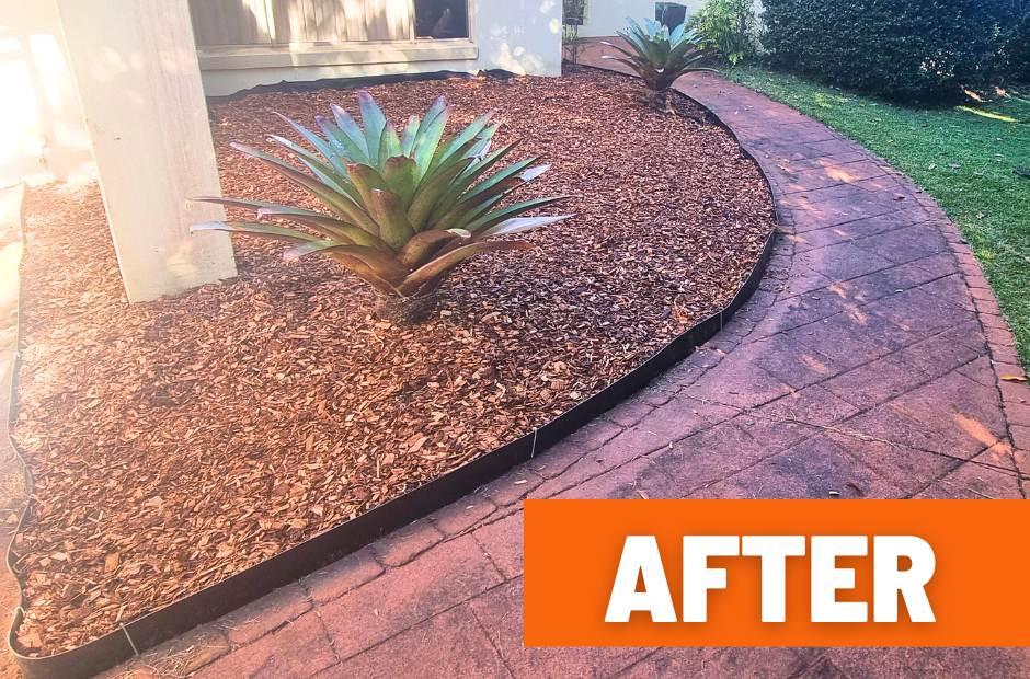 Garden cleanup Buderim before photo