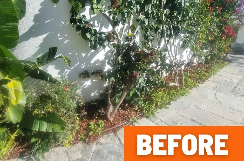 Garden Tidyup Soft landscaping Muntain Creek Before photo