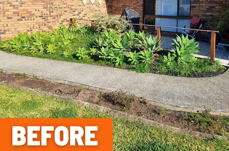 Garden tidy up Buderim before photo