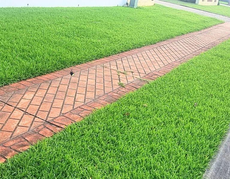 Lawn Fertilising Buderim