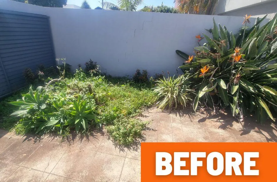 Garden Tidyup Soft landscaping Muntain Creek Before photo