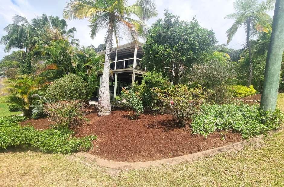 Buderim soft landscaping Photo