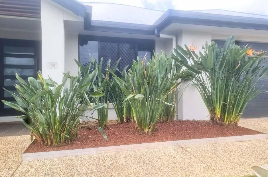 Mountain Creek Garden Cleanup Steel edging Photo
