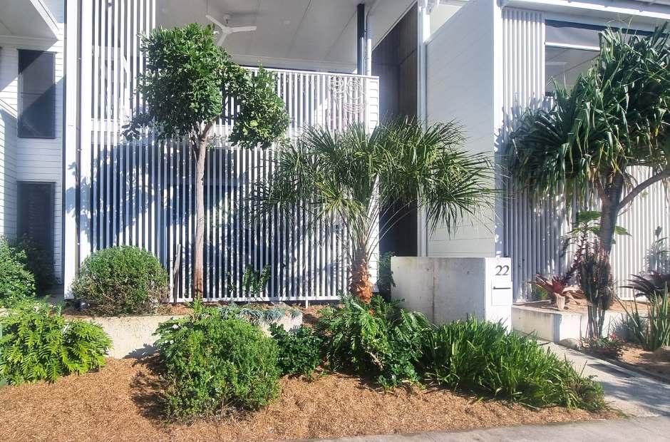 2. Minyama garden tidy up mulching photo