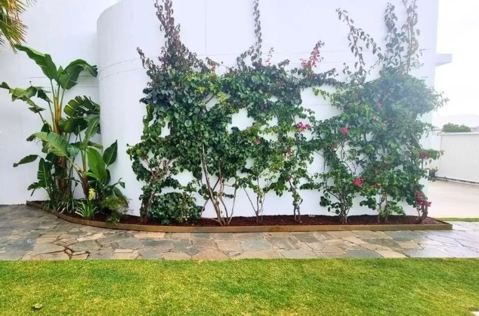 2. Mountain Creek garden tidy up steel edging  photo