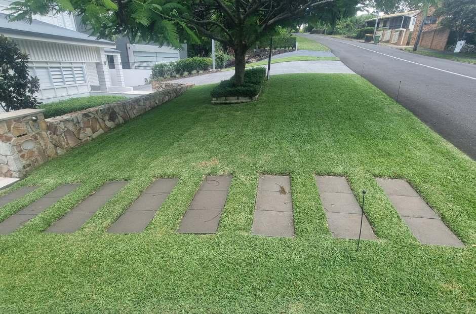 Buderim Lawn Mowing Edging Photo