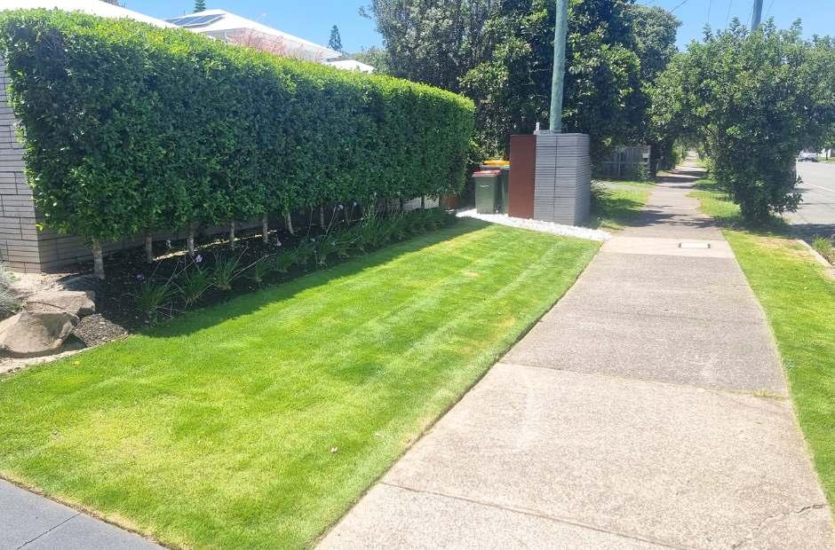 Buderim Lawn Mowing Hedging Photo
