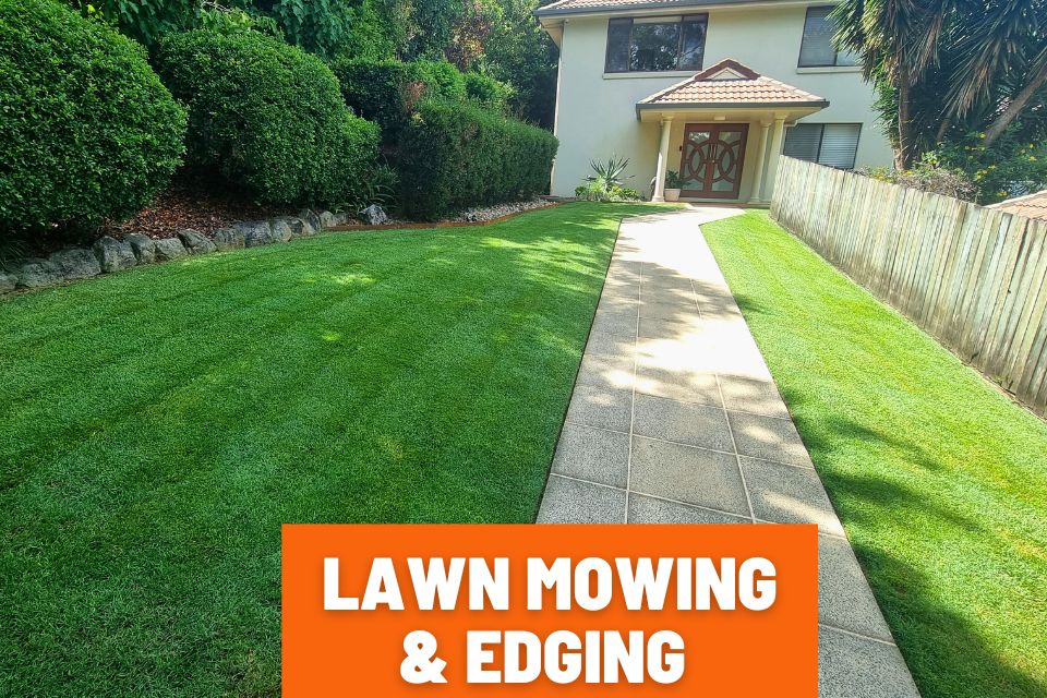Lawn Mowing and Edging