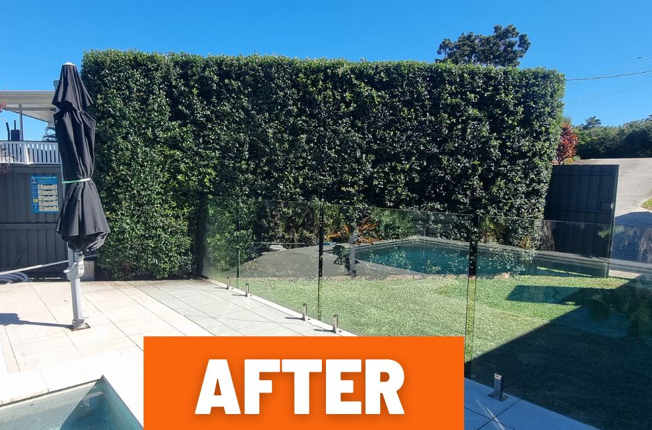 Lawn Mowing and Edging