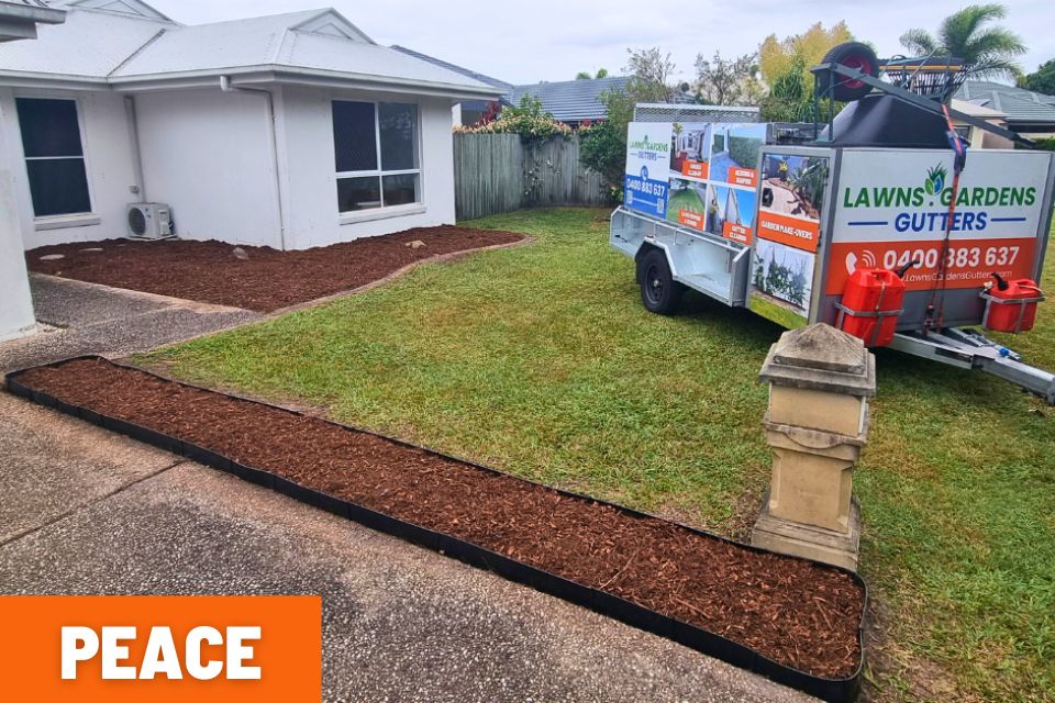 garden cleaning buderim-overgrown garden