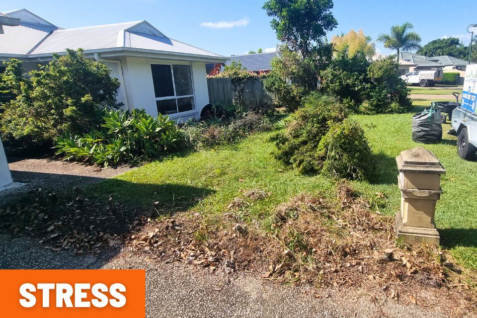 garden cleanup buderim-overgrown garden