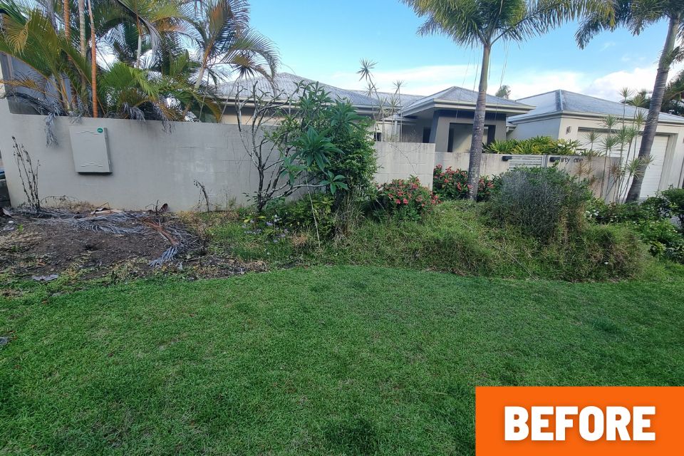 garden cleanup and removal