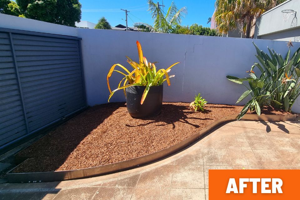 garden bed cleanup buderim