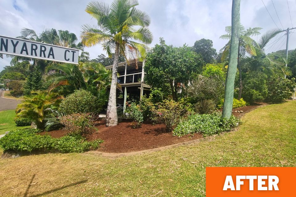 garden and property maintenance Buderim