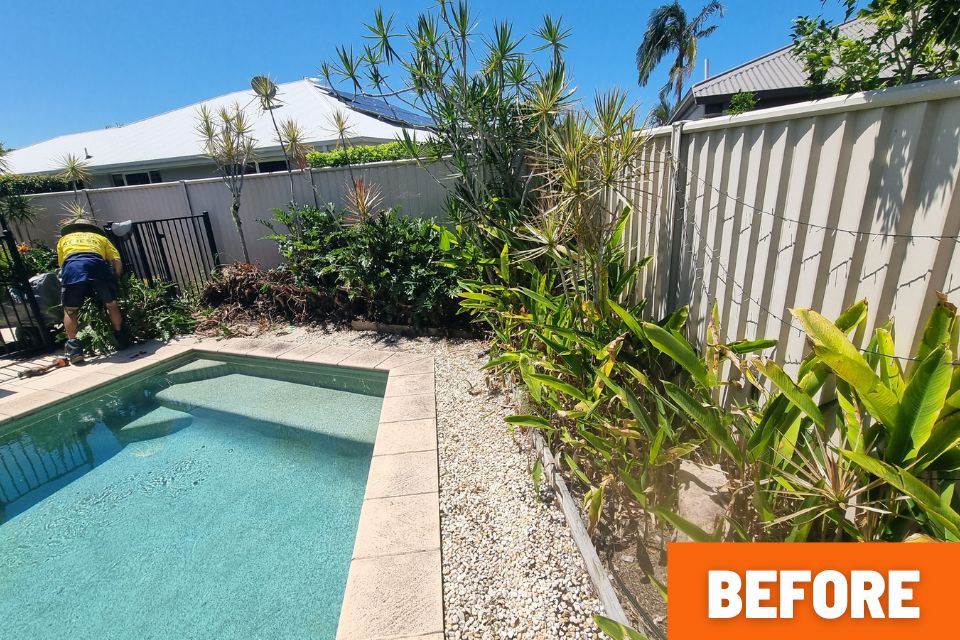 Garden cleanup Pool Buderim