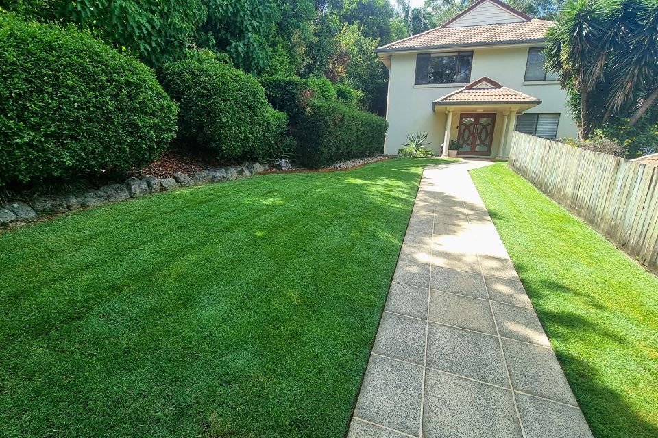 buderim lawn edging and garden maintenance project