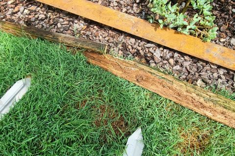 steel lawn edging installation buderim garden before