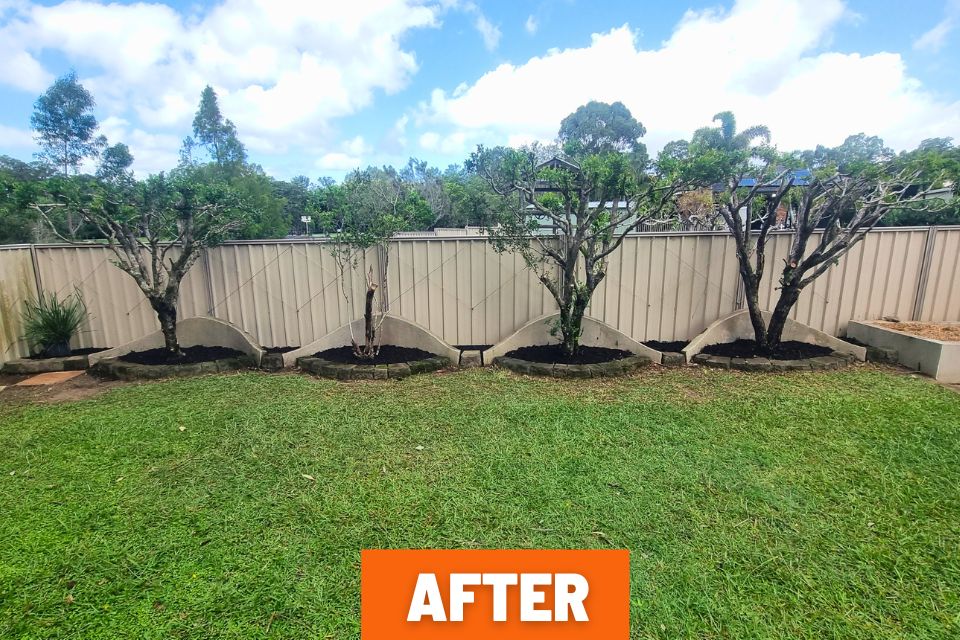 Neat low-maintenance garden after clean-up in Buderim