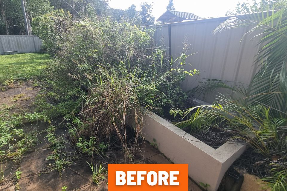 Overgrown garden with weeds growing through pavers before garden clean-up in Buderim