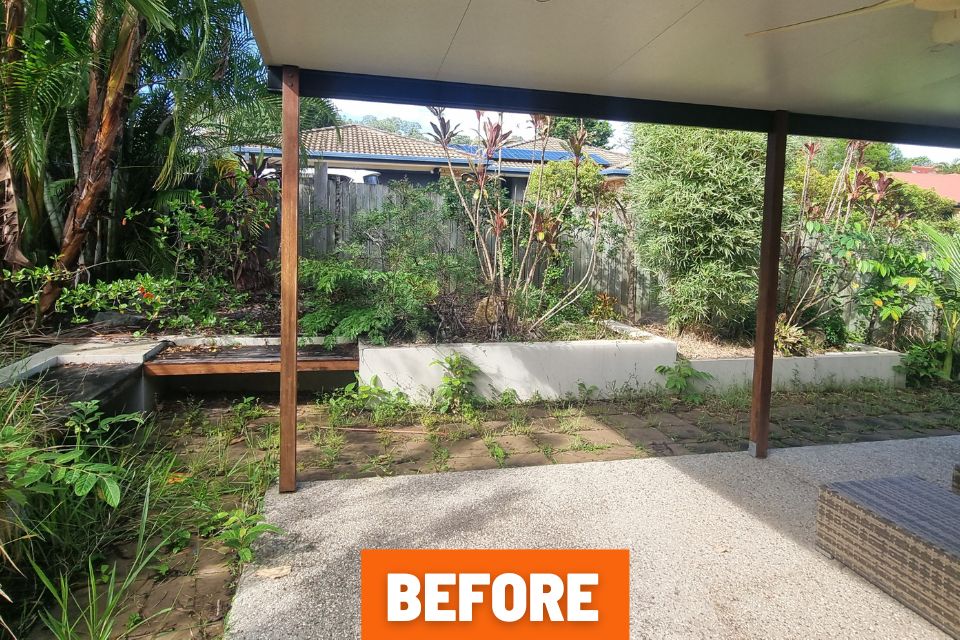 Overgrown garden before preparation for property sale in Buderim