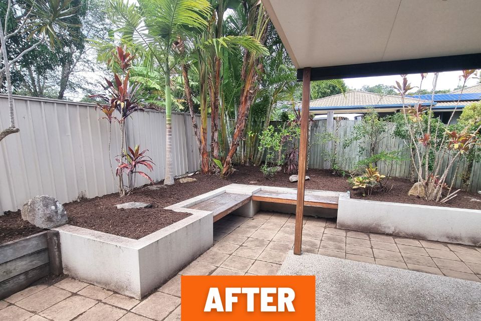 after garden clean-up showing overgrowth removed in Buderim