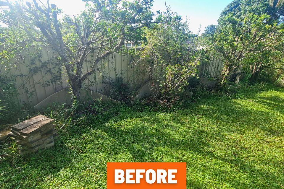 Before garden clean-up preparing property for sale in Buderim