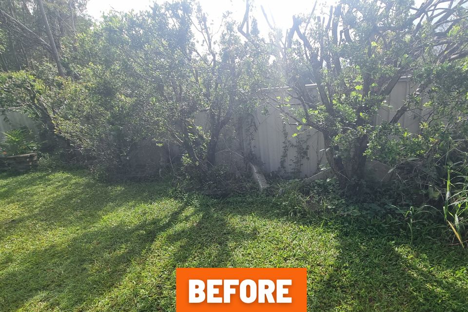overgrown garden with weeds everywhere