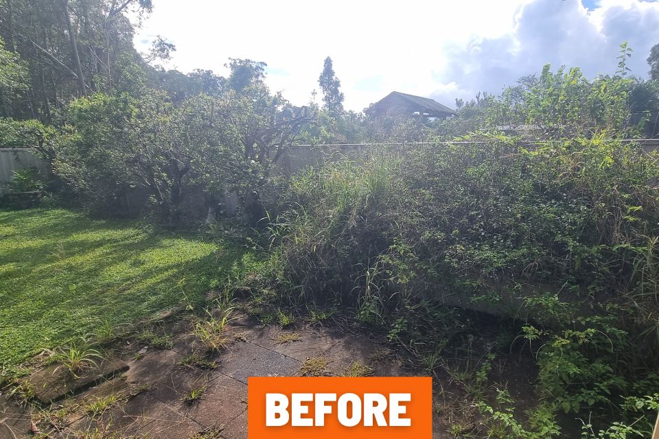 Messy backyard before garden clean-up for sale in Buderim