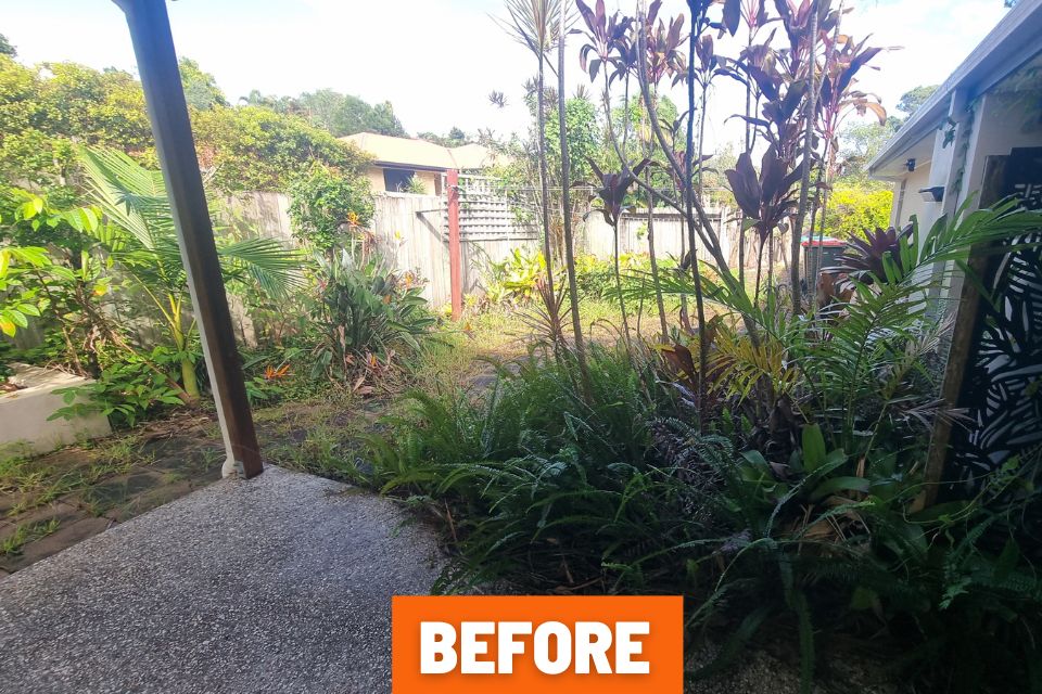 Untidy garden with weeds, soil and leaves building up near pool