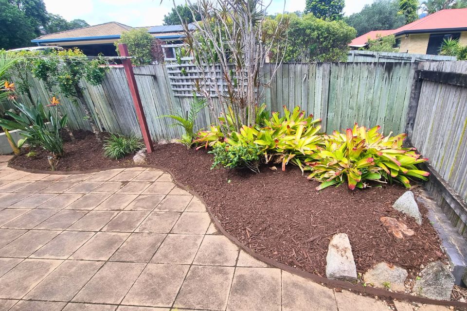 Garden edges revealed and defined after garden cleaning in Buderim