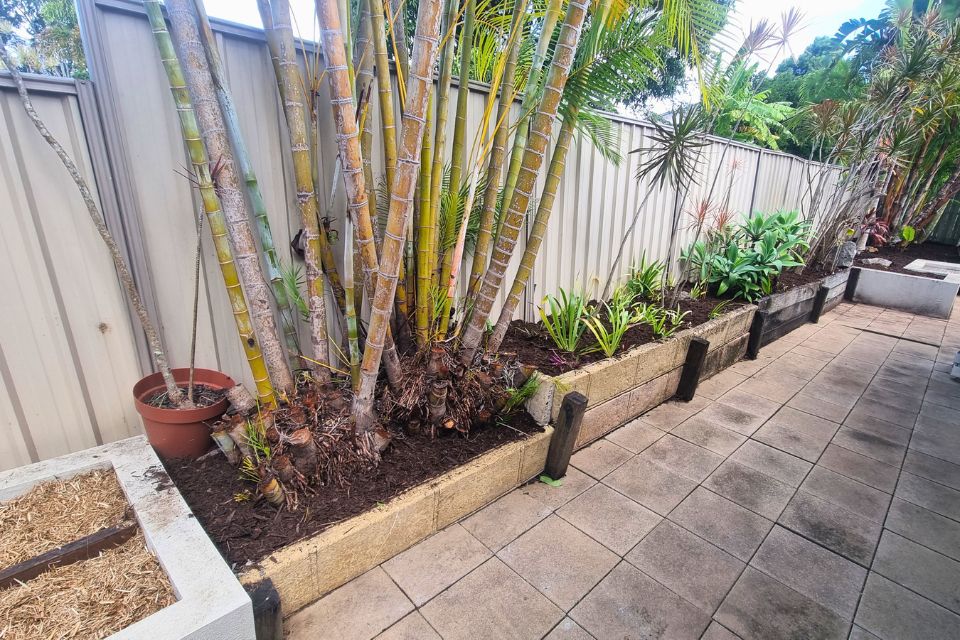 Garden beds cleaned and mulched after garden clean-up in Buderim