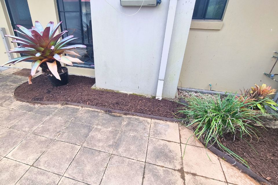 Cypress Pine mulch applied to garden beds in Buderim Garden Clean up Project