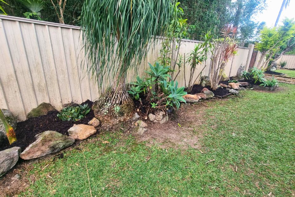 Low-maintenance garden after clean-up in Buderim property