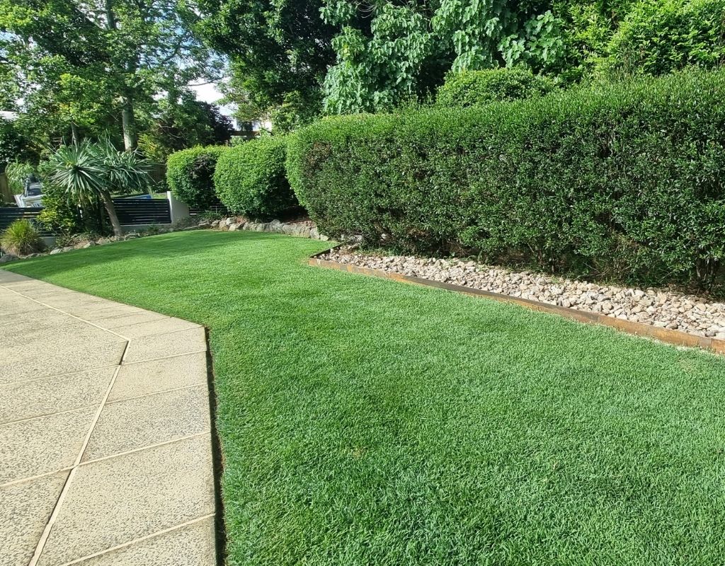 Garden clean-up in Buderim with fresh mulch and cleared garden beds