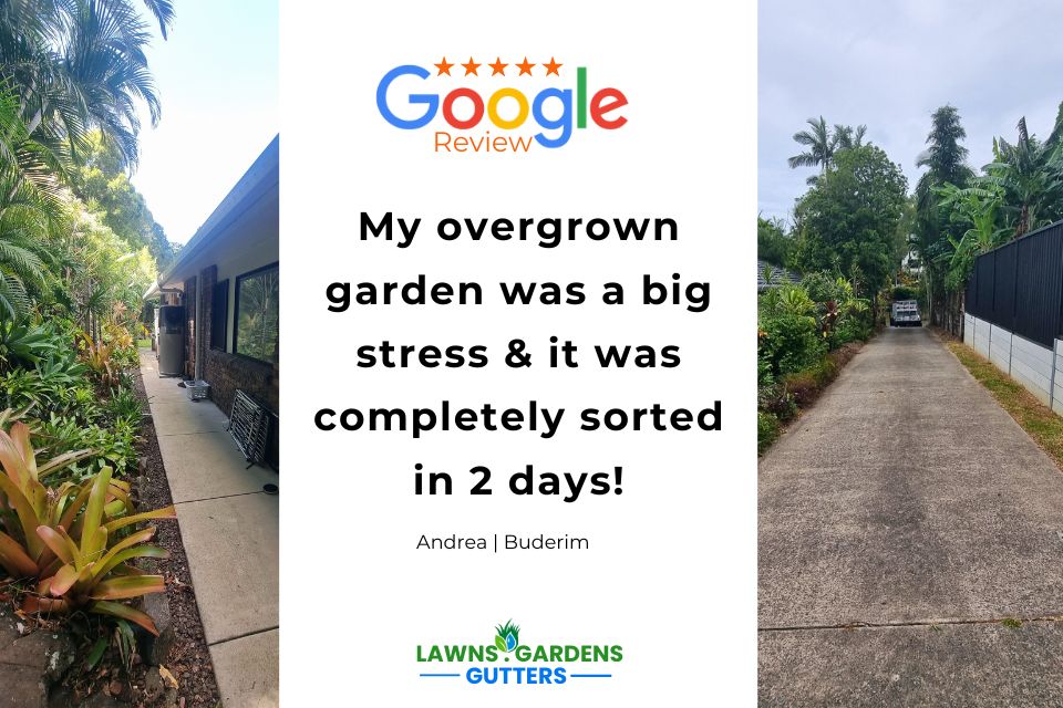 Garden clean-up in Buderim turning an overgrown side yard into a neat, low-maintenance space