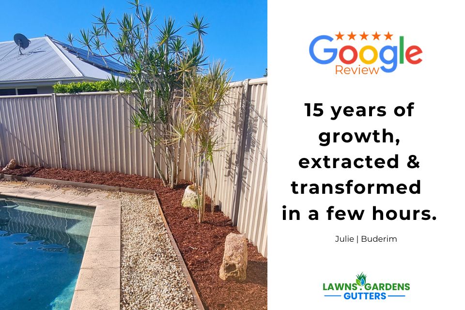 Poolside garden clean-up in Buderim with fresh mulch and a clean, contained low-maintenance finish