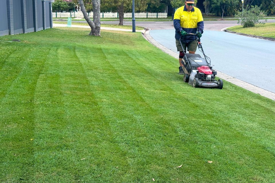 14. Buderim lawn mowing service with tidy finish