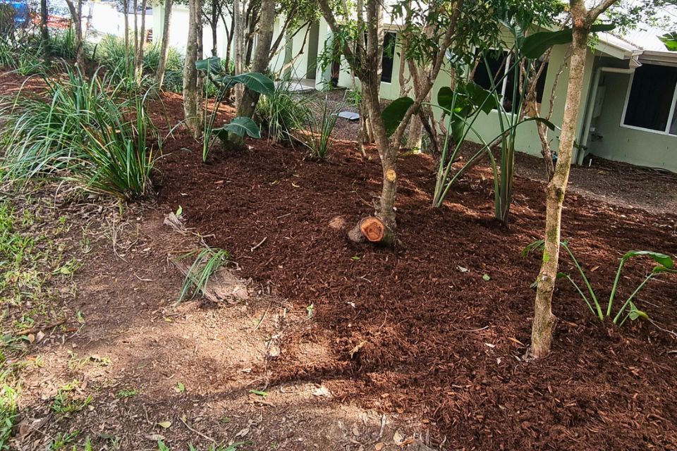 Low-maintenance garden after clean-up in Buderim property